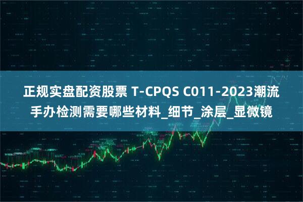 正规实盘配资股票 T-CPQS C011-2023潮流手办检测需要哪些材料_细节_涂层_显微镜